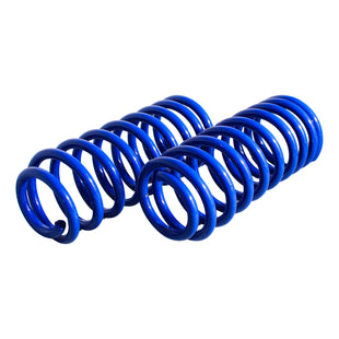 Resortes AG Kit Toyota Corolla (Décima generación) 2003-2013 Traseros