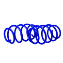 Resortes Deportivos AG Kit Ford Fiesta 03-08 Kit 4 Piezas-2