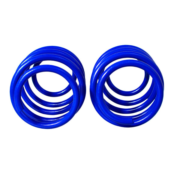 Resortes Deportivos AG Kit Ford Fiesta 03-06 Par Delantero