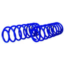 Resortes Deportivos AG Kit Ford Fiesta 03-08 Kit 4 Piezas-3