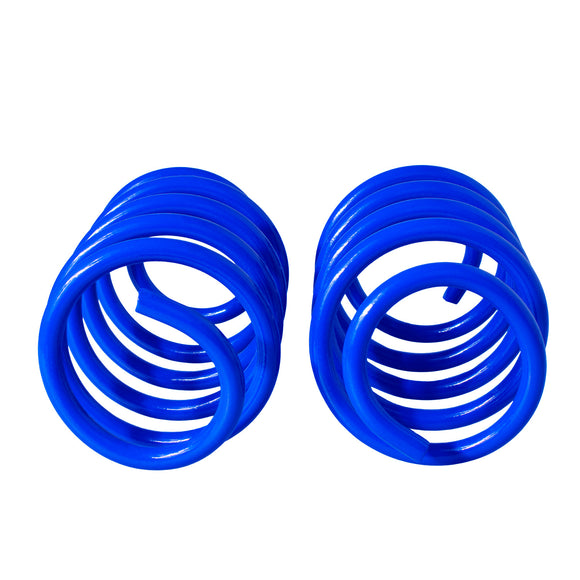 Resortes Deportivos AG Kit Seat Altea 2004-2008 Par Delantero