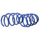 Resortes Deportivos AG Kit Renault Megane II 02-08 Par Delantero-2