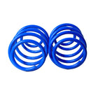 Resortes AG Kit Ford Mustang Coupe 6 2005-2010 Par Delantero-4