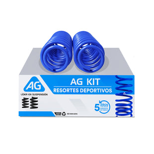 Resortes AG Kit Ford Mustang Coupe 6 05-10 Par Trasero