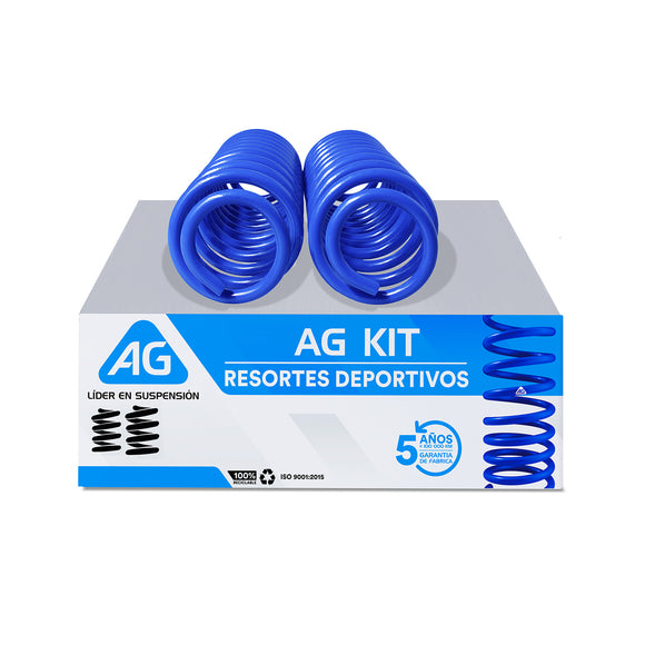 Resortes AG Kit Ford Mustang Coupe 6 05-10 Par Trasero
