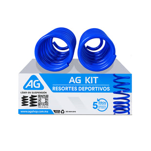 Resortes AG Kit Chrysler Shadow/Spirit 1987-1994 Par Trasero