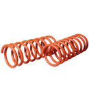 Resortes Deportivos AG Xtreme Ford Focus 1999-2008 Kit 4 Piezas-4