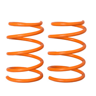 Resortes Deportivos AG Xtreme Renault Clio Sport 2002-2006 Delanteros