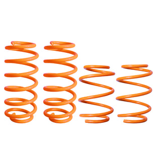 Resortes Deportivos AG Xtreme Seat Ibiza 2003-2009 4 piezas