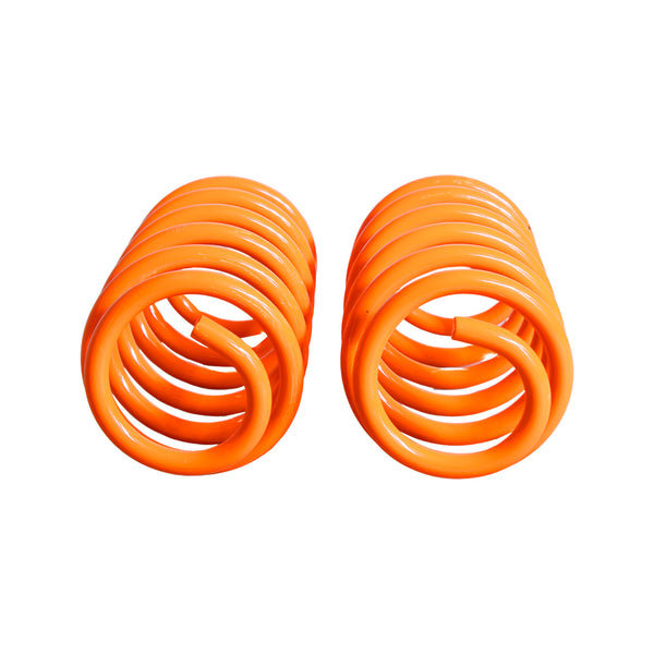Resortes Deportivos Ag Xtreme Seat Ibiza 2003-2009 4 piezas
