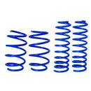 Resortes Deportivos AG Kit Renault Renault Megane II 09-15 Kit 4 Piezas-1