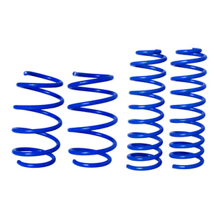 Resortes Deportivos AG Kit Renault Renault Megane II 09-15 Kit 4 Piezas