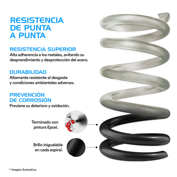 Resortes Originales Ag Confort Nissan Tsubame (7 Vueltas) (Reforzado) 1992-2004 Delanteros