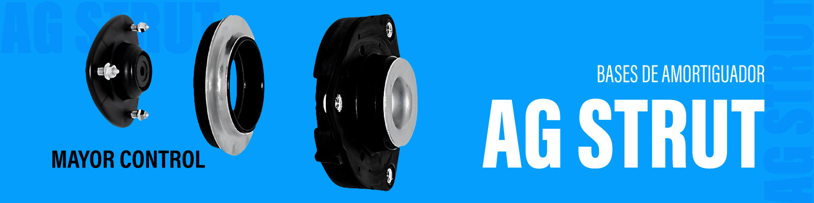 Banner lineas sm ag strut