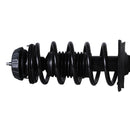 Pierna de suspensión AG Proshock Hyundai Grand i10 2015-2026 Delanteras-8
