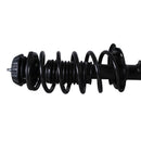 Pierna de suspensión AG Proshock Hyundai Grand i10 2015-2026 Delantera Derecha-8