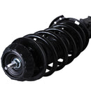 Pierna de suspensión AG Proshock Hyundai Grand i10 2015-2023 Delantera Derecha-9