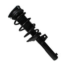 Piernas de suspensión AG Proshock Seat Ateca (Carter 55 mm) 2017-2026 Delanteras-4