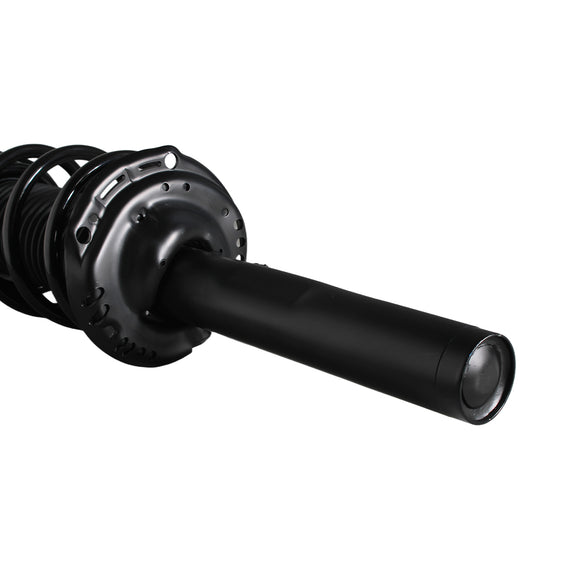 Pierna de suspensión AG Proshock Seat Cupra Formentor (Carter 55 mm) 2020-2023 Delantera Izquierda