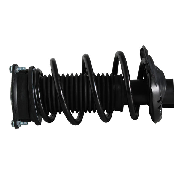 Pierna de suspensión AG Proshock Seat Cupra Formentor (Carter 55 mm) 2020-2023 Delantera Derecha