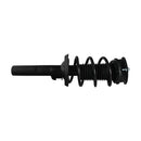 Pierna de suspensión AG Proshock Audi A3 (8V) (Carter 55 mm) 2012-2026 Delantera Derecha-1