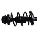 Pierna de suspensión AG Proshock Kia Rio 2018-2022 Delantera Izquierda-7