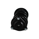 Pierna de suspensión AG Proshock Toyota RAV4 2019-2026 Delantera Derecha-10