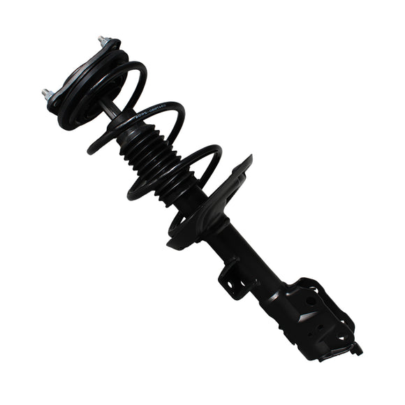 Piernas de suspensión AG Proshock Toyota RAV4 2019-2026 Delanteras