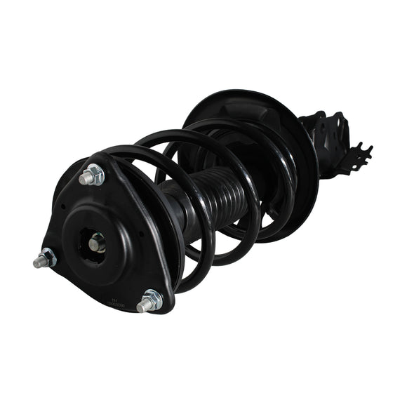Piernas de suspensión AG Proshock Toyota RAV4 2019-2026 Delanteras