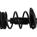 Piernas de suspensión AG Proshock Toyota RAV4 2019-2026 Delanteras-8
