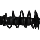 Pierna de suspensión AG Proshock MG MG5 2020-2026 Delantera Derecha-9