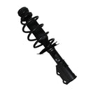 Pierna de suspensión AG Proshock MG GT 2022-2025 Delantera Izquierda-2