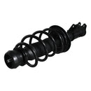 Pierna de suspensión AG Proshock MG MG5 2020-2026 Delantera Izquierda-6