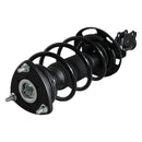 Pierna de suspensión AG Proshock Mazda 2 (Cuarta generación) 2015-2023 Delantera Izquierda-4