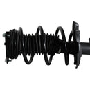 Pierna de suspensión AG Proshock Nissan Sentra (B18) 2020-2026 Delantera Derecha-7