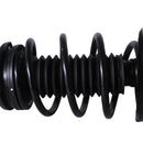 Pierna de suspensión AG Proshock Mazda 3 (Cuarta generación) 2019-2023 Delanteras-8