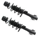2 Pierna de suspension AG Proshock para Polo 2009-2017 Delan-2