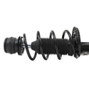 Pierna de suspensión AG Proshock para Seat Ibiza 6J para 2009 al 2017 Delantero