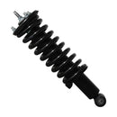 Pierna de suspensión AG Proshock Nissan NP300 2015-2020 Delantera-4