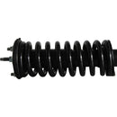 Piernas de suspensión AG Proshock Suzuki Equator 2009-2012 Delanteras-8