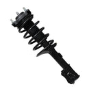 Pierna de suspensión AG Proshock Chevrolet Aveo 5 (Base de 3 tornillos) 2007-2011 Delantera Derecha-5