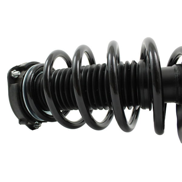 Pierna de suspensión AG Proshock Altea (Carter 55 mm) del 2006 al 2015 Delantero