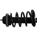 Pierna de suspensión AG Proshock Volkswagen Eurovan (No tiene brakets) 2005-2021 Delantera Derecha-7