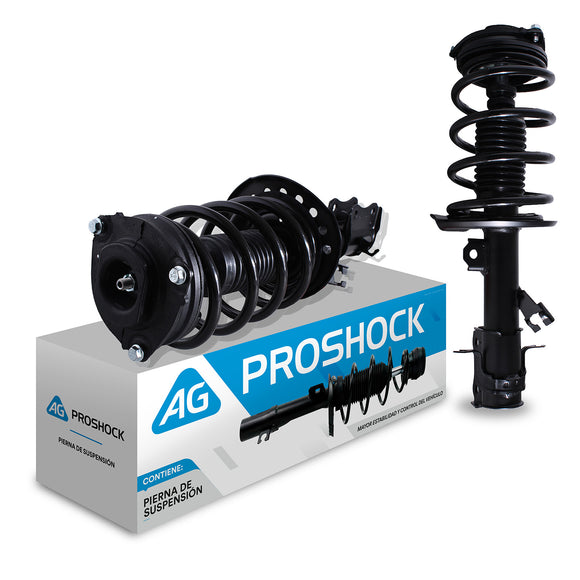 Pierna de suspensión AG Proshock Nissan Sentra (B17) 2013-2019 Delanteras