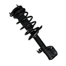 Pierna de suspensión AG Proshock Toyota Corolla (Undécima generación) 2013-2019 Delantera Derecha-5