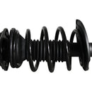 Pierna de suspensión AG Proshock Toyota Corolla (Undécima generación) 2013-2019 Delantera Derecha-7