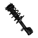 Pierna de suspensión AG Proshock Toyota Corolla (Undécima generación) 2013-2019 Delanteras-5