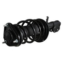 Pierna de suspensión AG Proshock Toyota Corolla (Undécima generación) 2013-2019 Delanteras-5