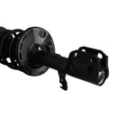 Pierna de suspensión AG Proshock Toyota Corolla (Undécima generación) 2013-2019 Delanteras-6
