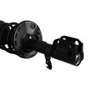Pierna de suspensión AG Proshock Toyota Corolla (Undécima generación) 2013-2019 Delanteras-8